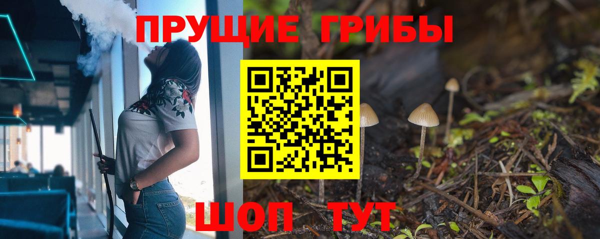 Геленджик  Галлюциногенные грибы GOLDEN TEACHER  Вход с VPN 